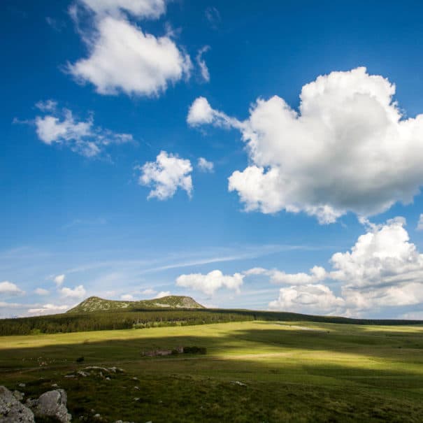 Paysage présentant le Mont Mézenc sous un ciel bleu nuageux