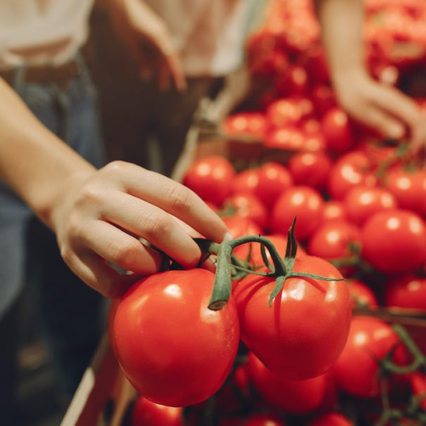 Étalage de tomate à Fay-sur-Lignon