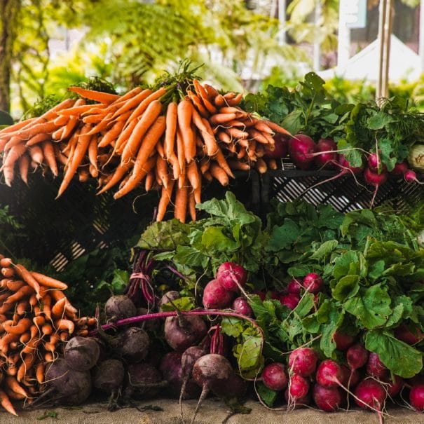 Étalage de légume : carottes, radis, navets