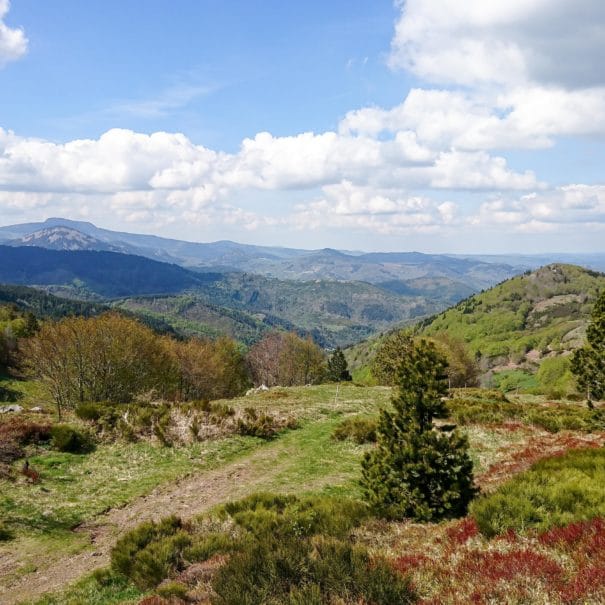 Vue panoramique sur les monts et sucs d'Ardèche