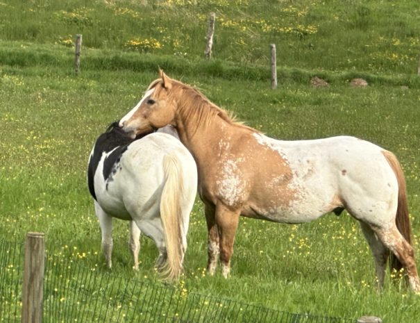 image00023