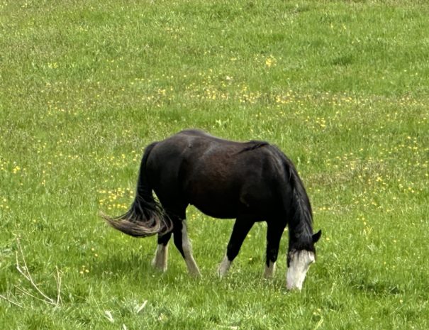 image00025